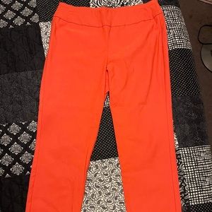 Bright Coral Dress Pant